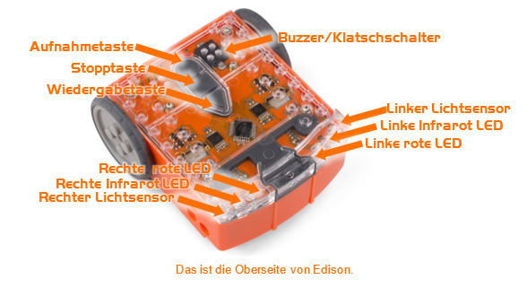 Oberseite