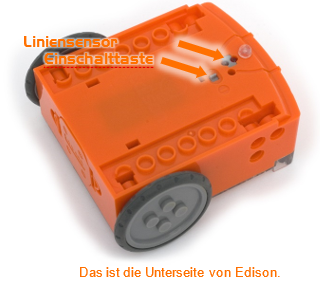 Unterseite